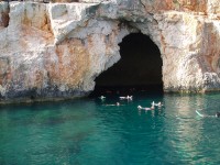 11 Days Turkey Tour Gallipoli, Troy, Pergamum, Ephesus, Pamukkale, Fethiye, Boat Cruise, Antalya, Cappadocia